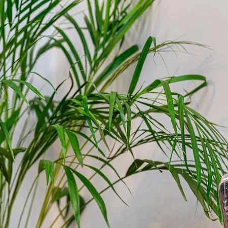 Kopenhaga Aura Апартаменты